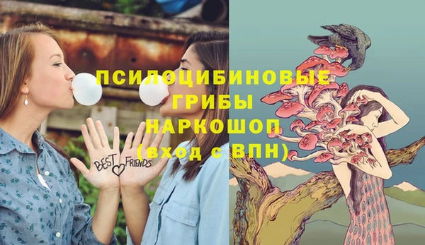 стафф Тайга