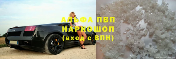 spice Сясьстрой