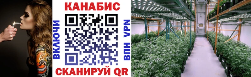 OMG ссылка  Новоржев  Бошки марихуана VHQ 